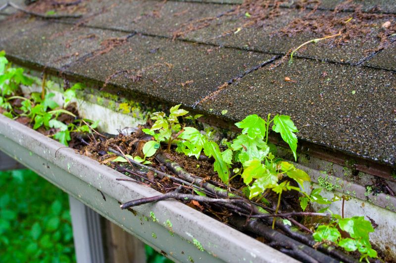 Clogged Gutter Debris