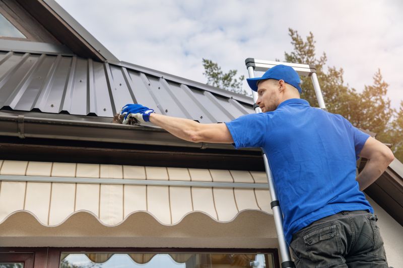 Gutter Cleaning Professionals